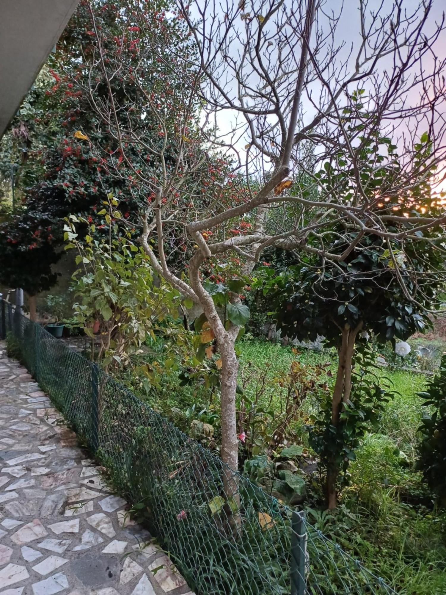 Amarante Residence Εξωτερικό φωτογραφία